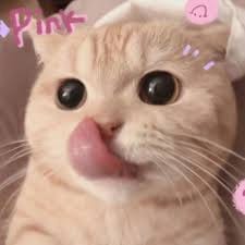 Hendra Kurniawan avatar